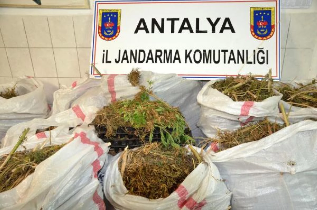 Antalya\'da Uyuşturucu Operasyonu