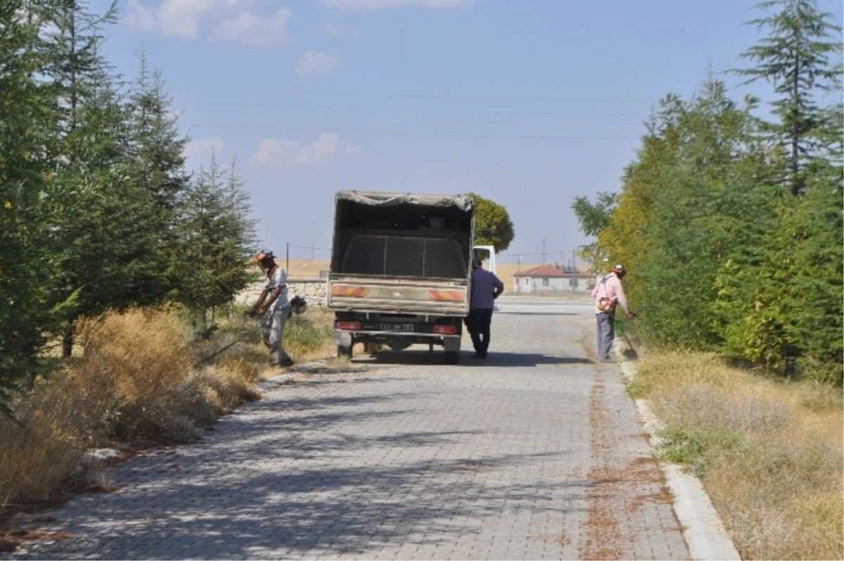 Cihanbeyli\'de Okullarda Temizlik Seferberliği