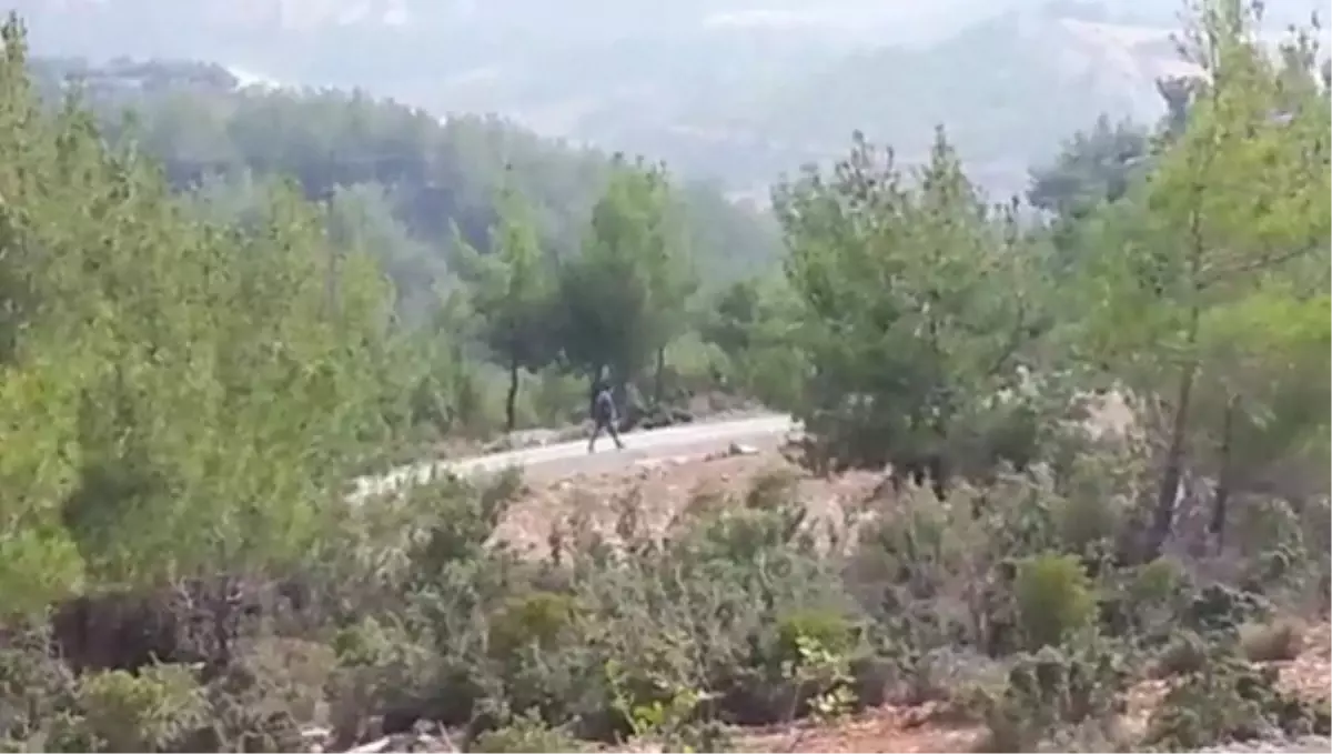 Engelli Taklidi Yapan Dilenci Yürüyüş Yaparken Yakalandı