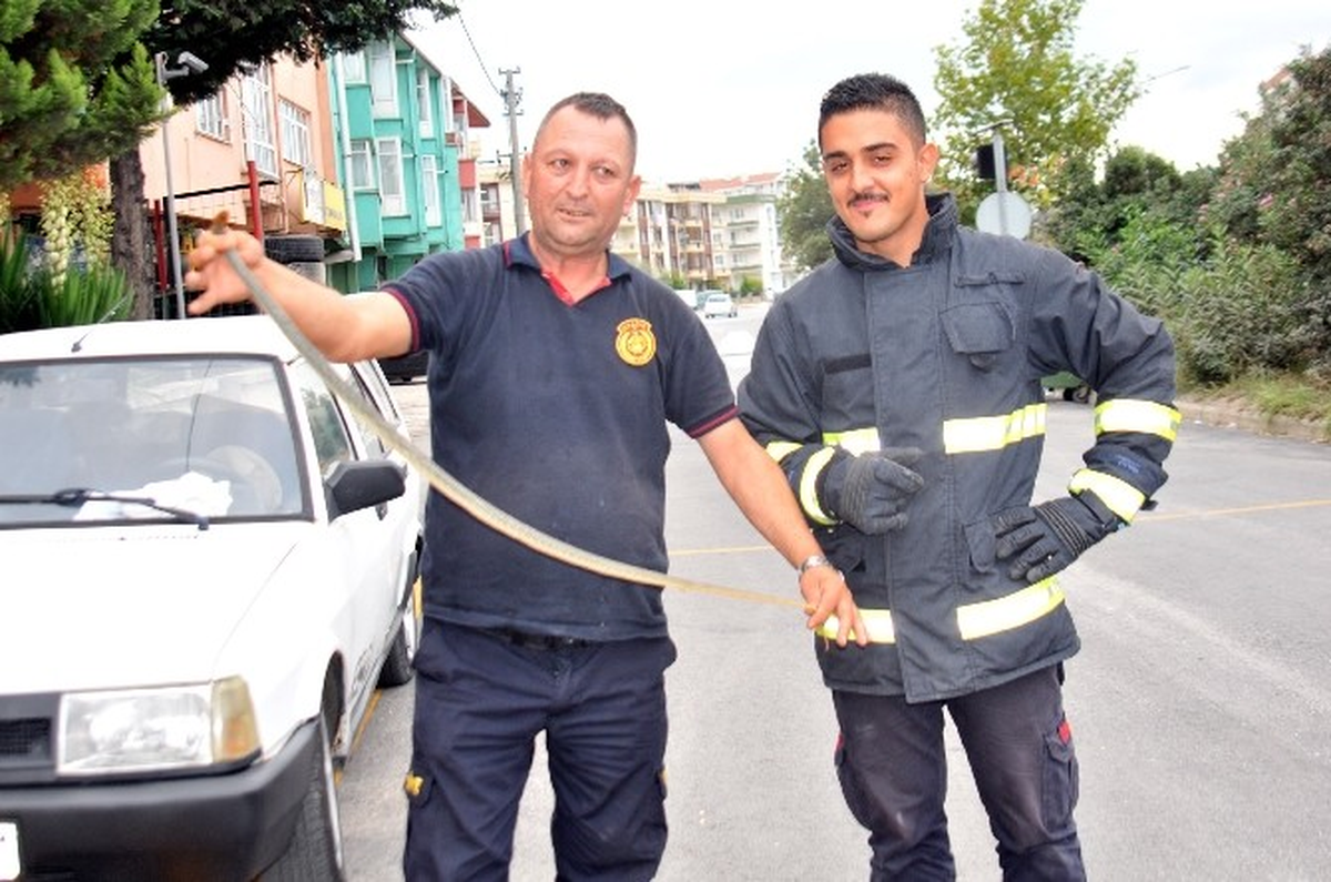 Stajyer İtfaiyecilere Yılan Yakalama Eğitimi