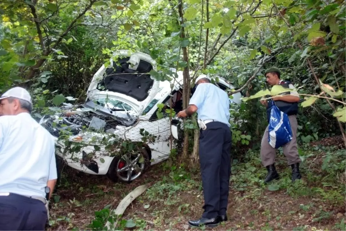 Tel Örgüler, Otomobilin Uçurumdan Yuvarlanmasını Engelledi