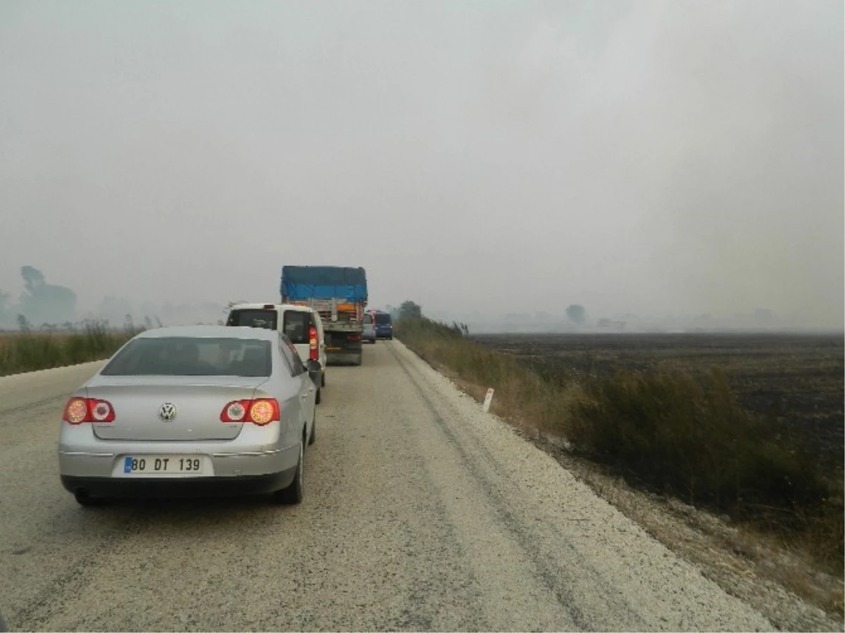 Anız Yangını Yol Kapattı