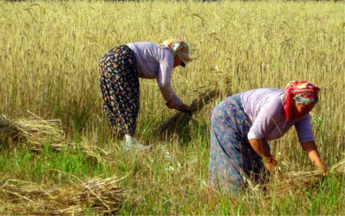 CHP\'li Demiröz: 62.hükümetin Programında Köylüler ve Çiftçiler Yok