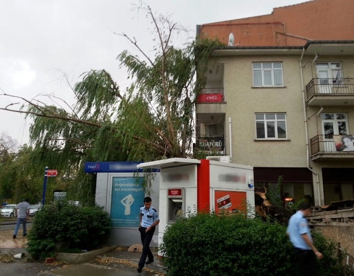 Edirne\'de Banka ATM\'sinin Üzerine Ağaç Devrildi