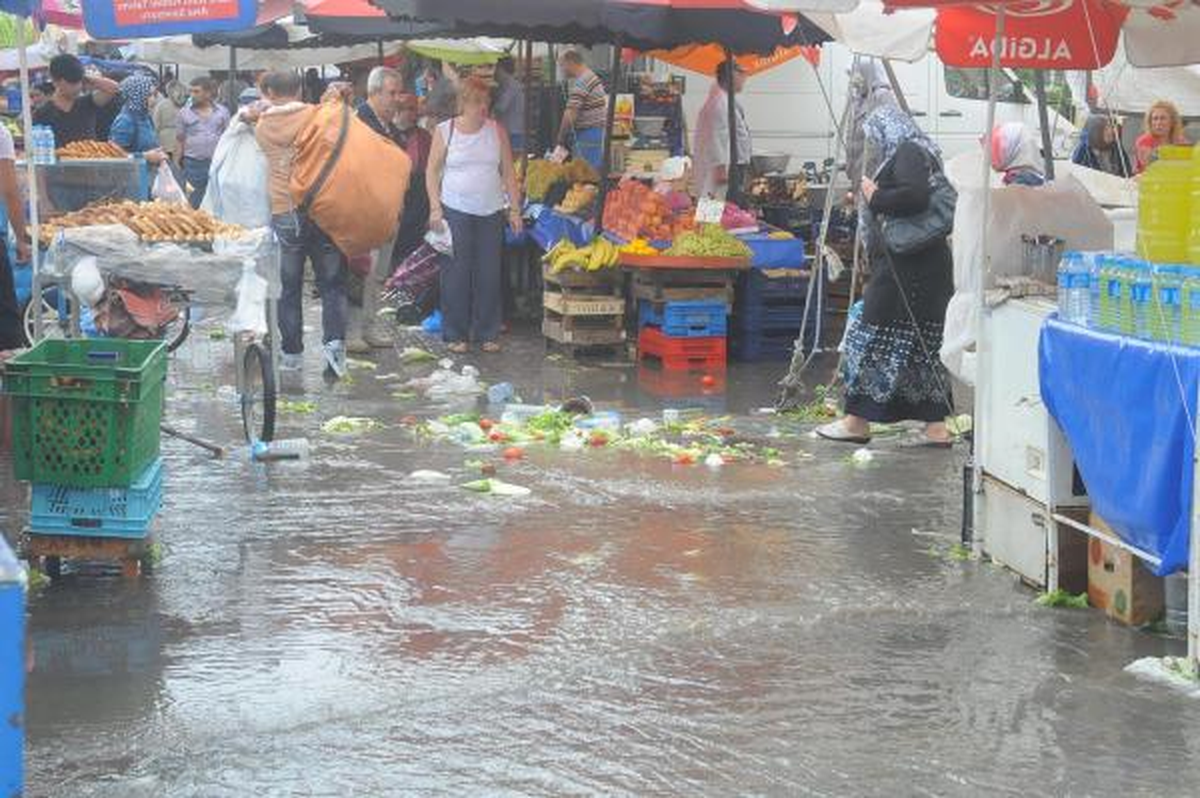Edirne\'de Fırtına Ağaçları Devirdi (2)