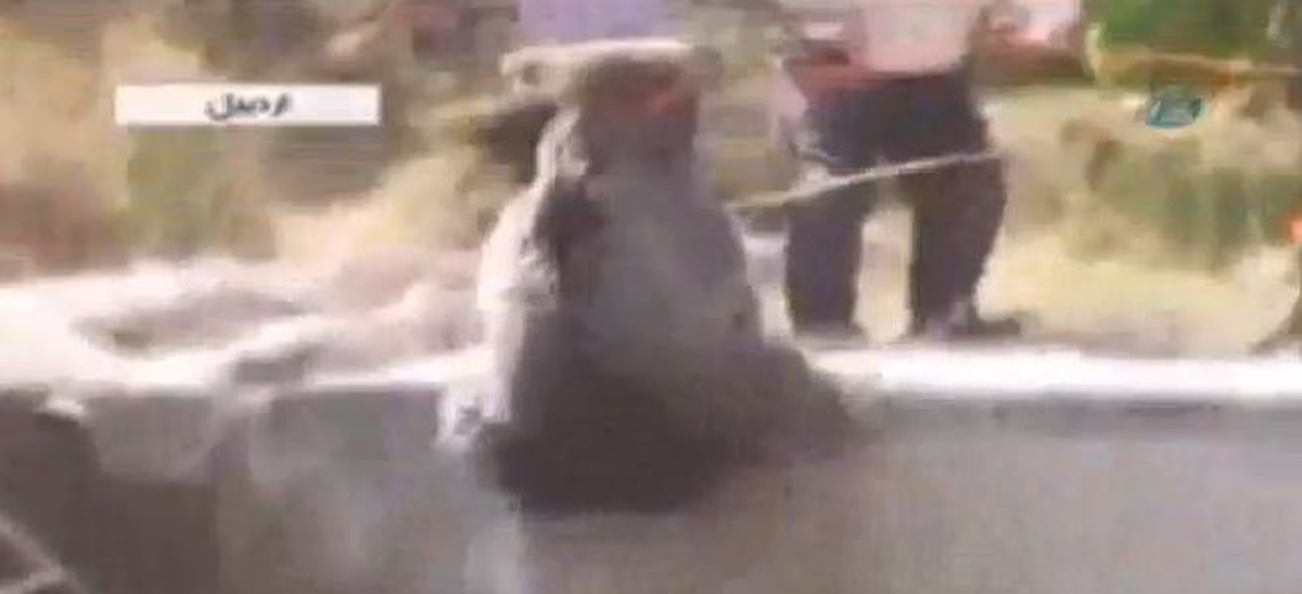 İran'da Havuza Düşen Ayıyı Kurtarma Çabaları Komik Anlara Sahne Oldu