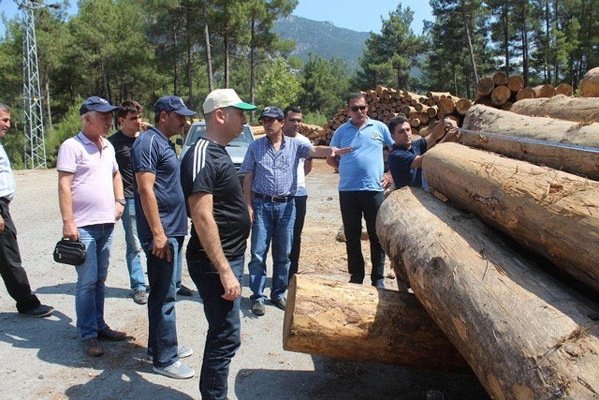 Adana Orman Bölge Müdürü İsmet Erol Feke\'de