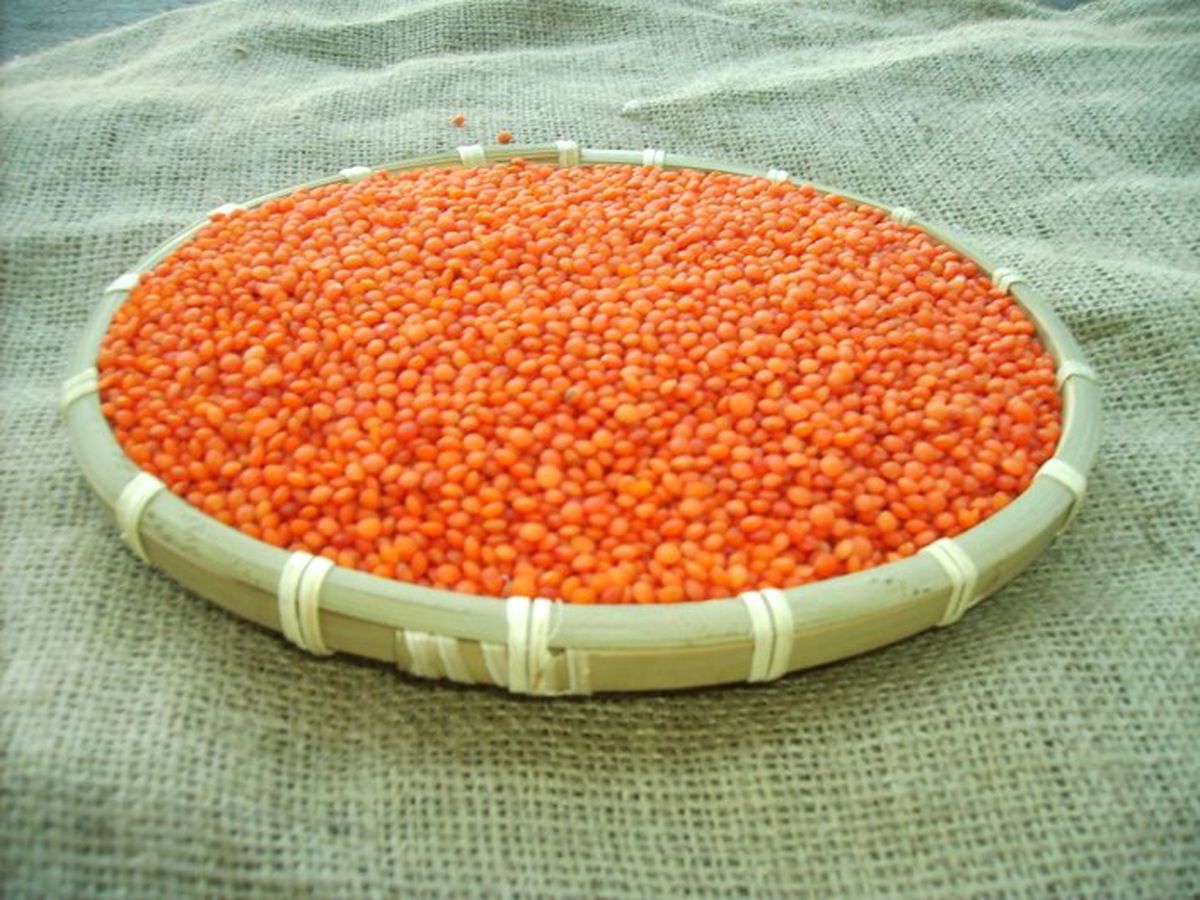 Şanlıurfa Ticaret Borsası