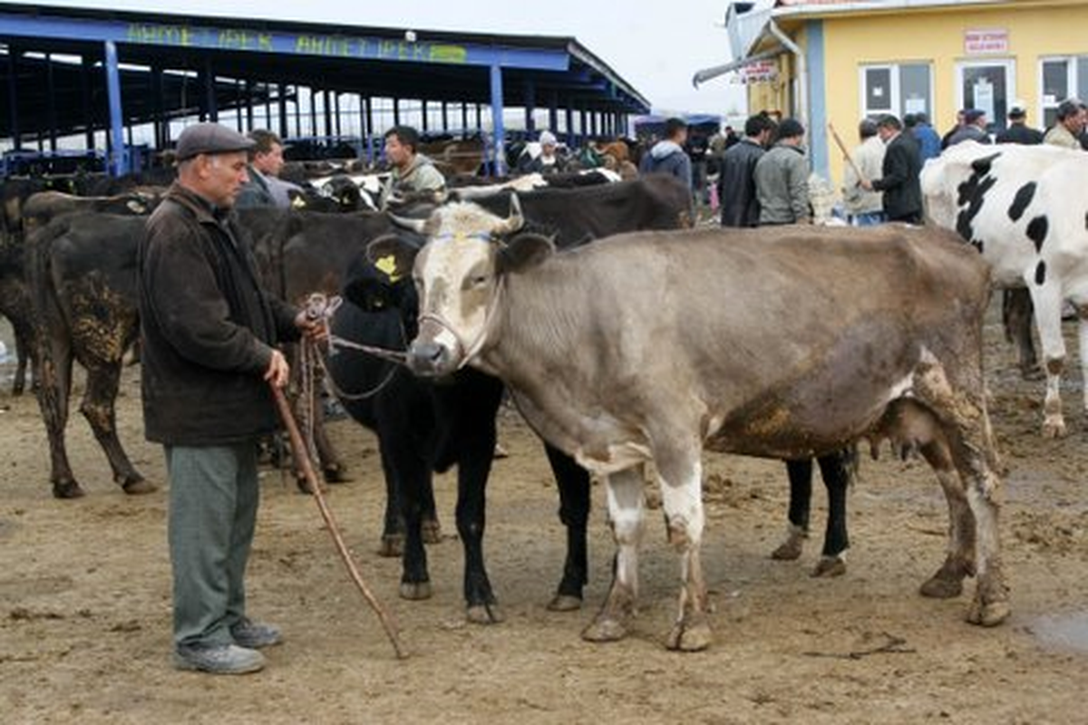 Afyonkarahisar Emniyetinden Kurban Bayramı Öncesi Hırsızlık Uyarısı