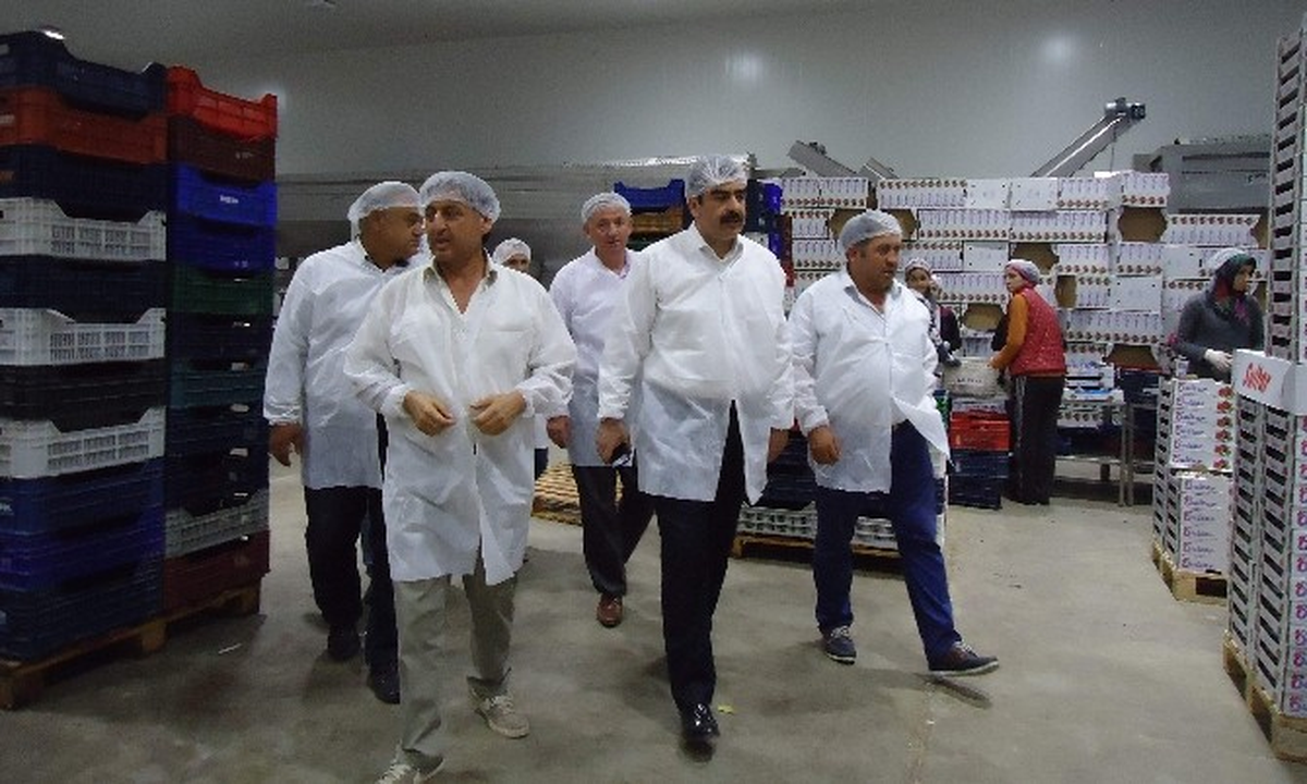 AK Parti\'li Erdem\'den Dondurulmuş Gıda Tesisine Ziyaret