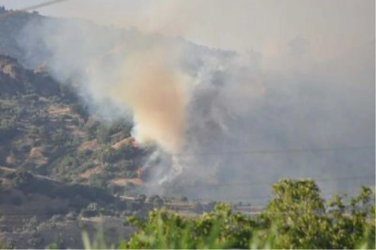 Armutlu\'da Çam Ormanında Çıkan Yangın Kontrol Altına Alınamadı