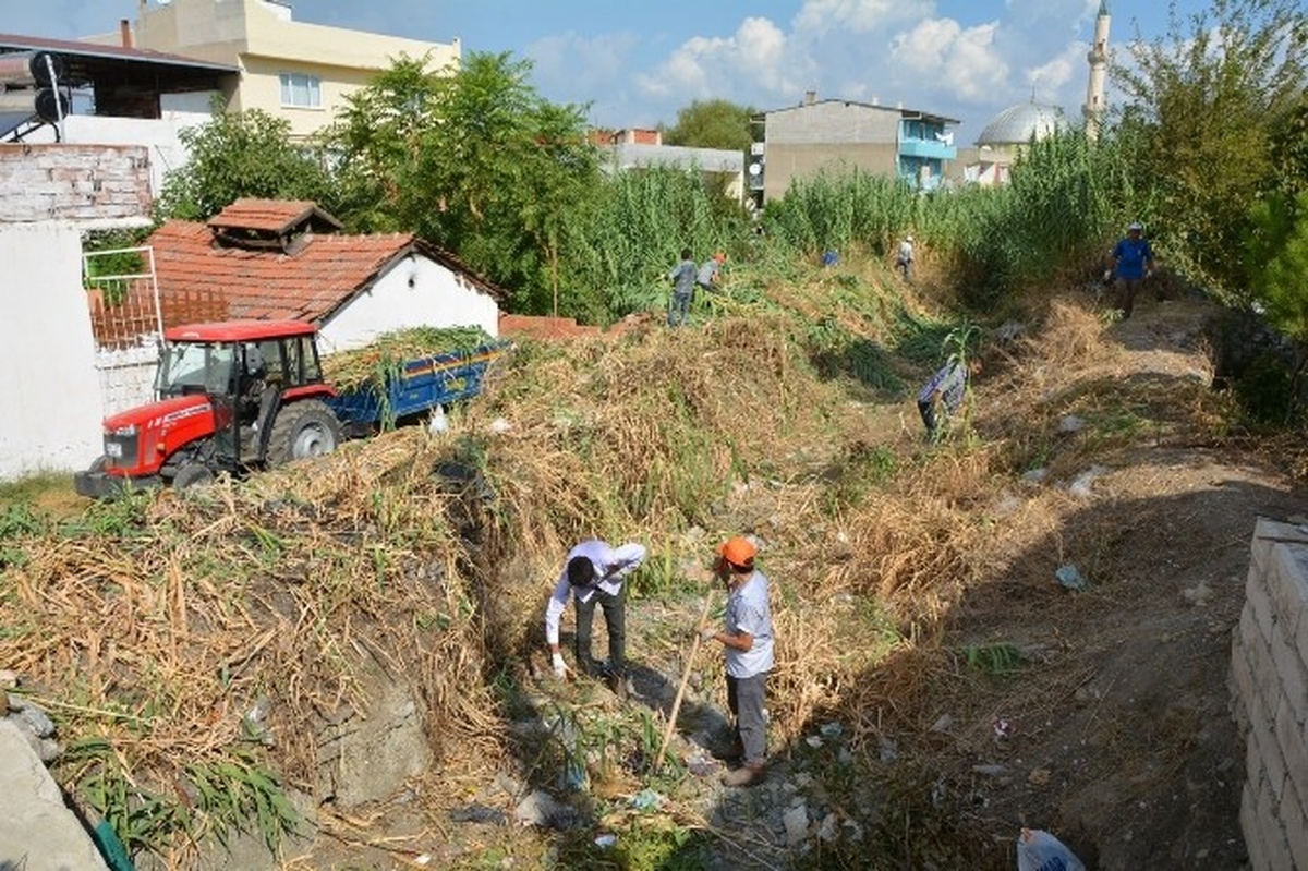 Çaybaşı Deresi\'ne Yunusemre Belediyesi\'nden Neşter