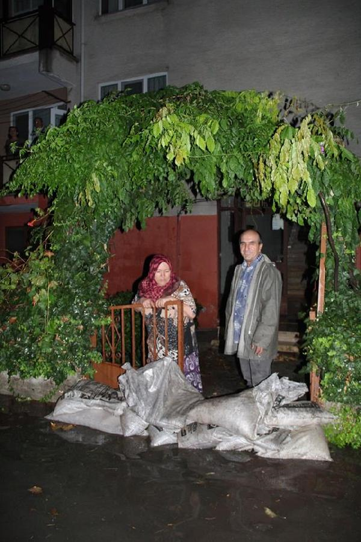 Edirne\'de Fırtına Ağaçları Devirdi