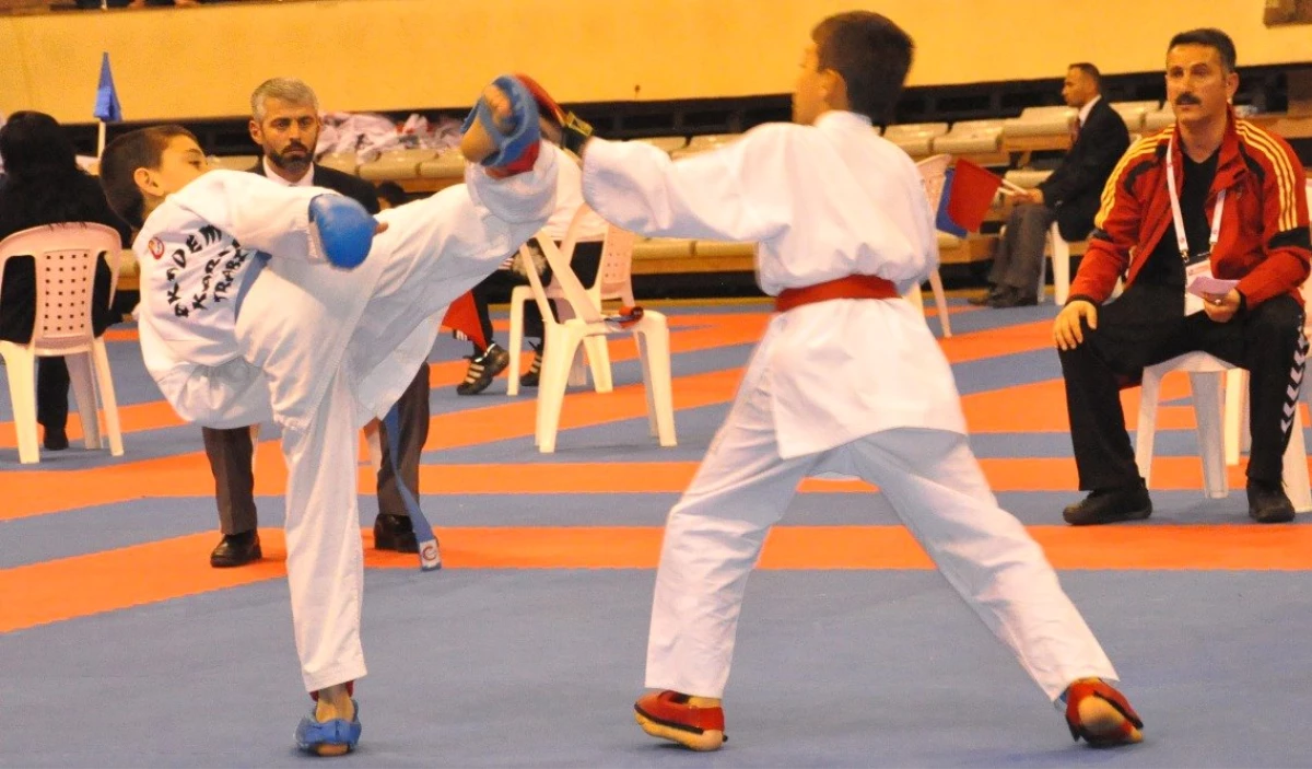 İstanbul\'da Karate Şöleni