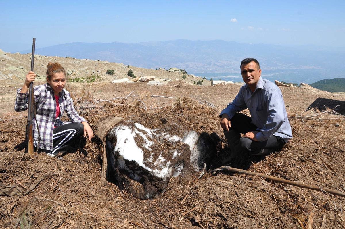 Kışın Saklanan Yazın Serinleten 'Kar Helvası'