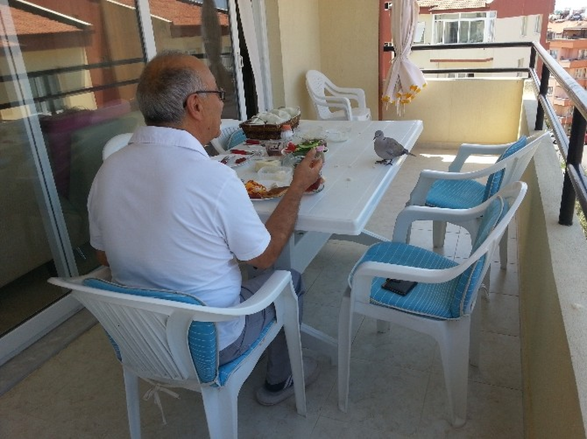 Kul Şahin\'in Sazuta\'sını Kuş da Beğendi