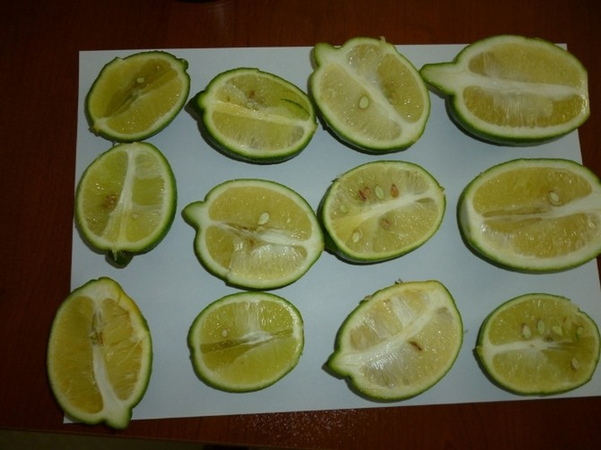Limon Hasatını Erken Yapmayın Uyarısı
