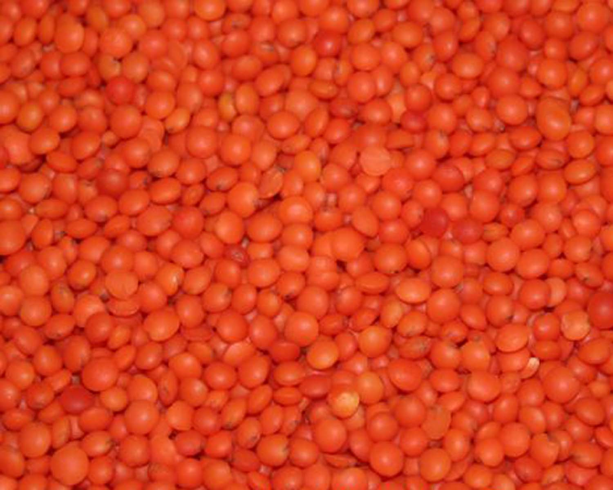 Şanlıurfa Ticaret Borsasında Ürün Fiyatları