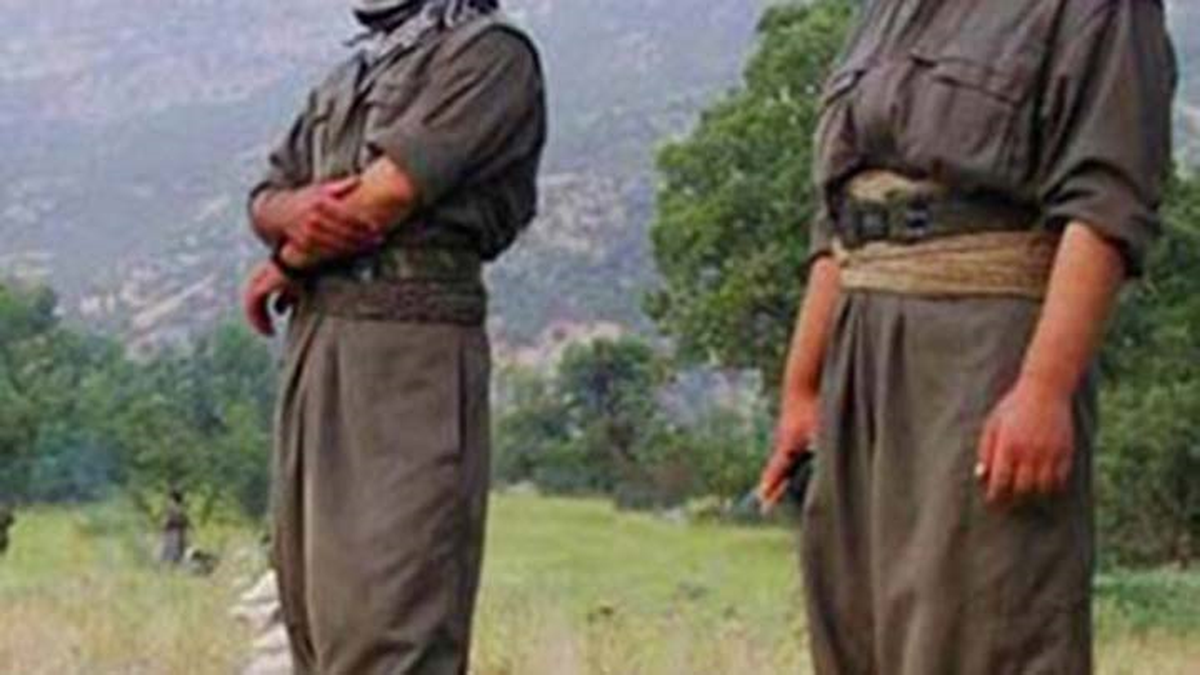 Şırnak ve Mardin\'de 2 PKK\'lı Teslim Oldu