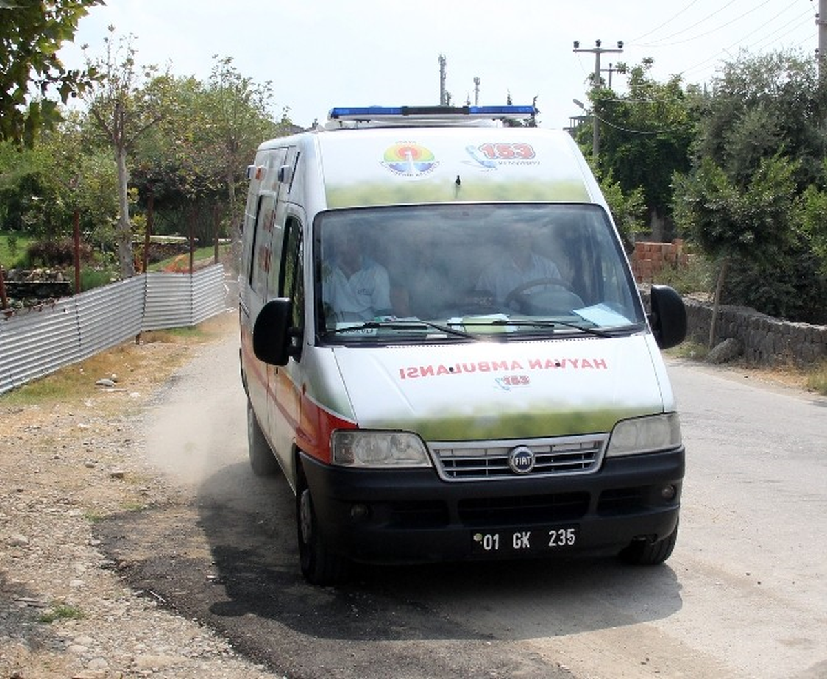 Yaralı Şahin Tedavi Edilip Doğaya Bırakıldı