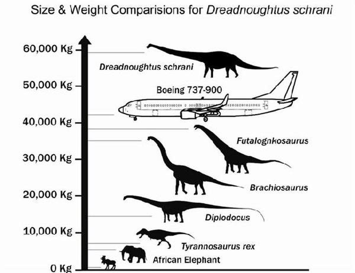 Arjantin\'de Uçak Büyüklüğünde Dinozor Fosili Bulundu