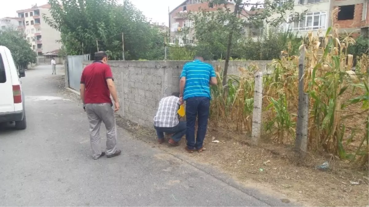 Samsun\'da Çocukların Yan Bakma Kavgası: 1 Yaralı