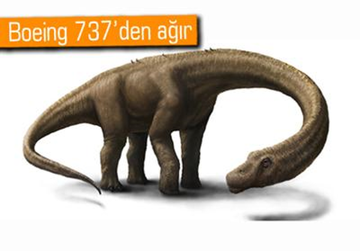 Dünyada Şimdiye Kadar Yaşamış En Büyük Canlı Keşfedilmiş Olabilir!