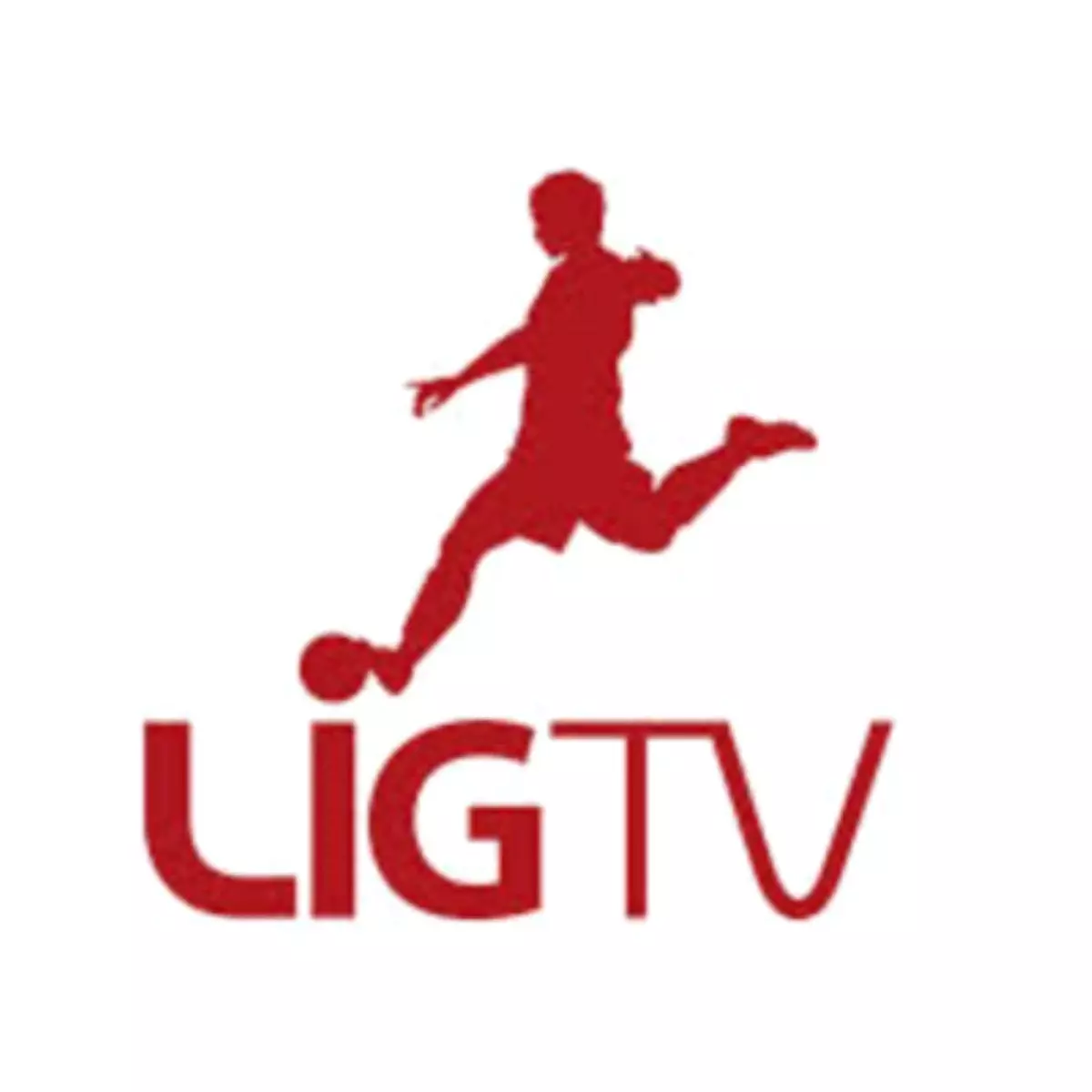 Ligtv.com.tr, Türkiye\'nin En Büyük Dijital Reklam Ağı Reklamz &vidyoda Network\'ünde