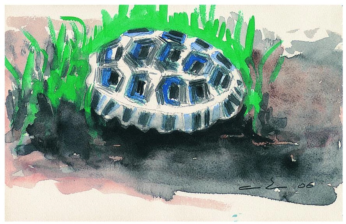 Özgür Rosto Kaplumbağalar Evlerini Sırtlarında Taşımaz!