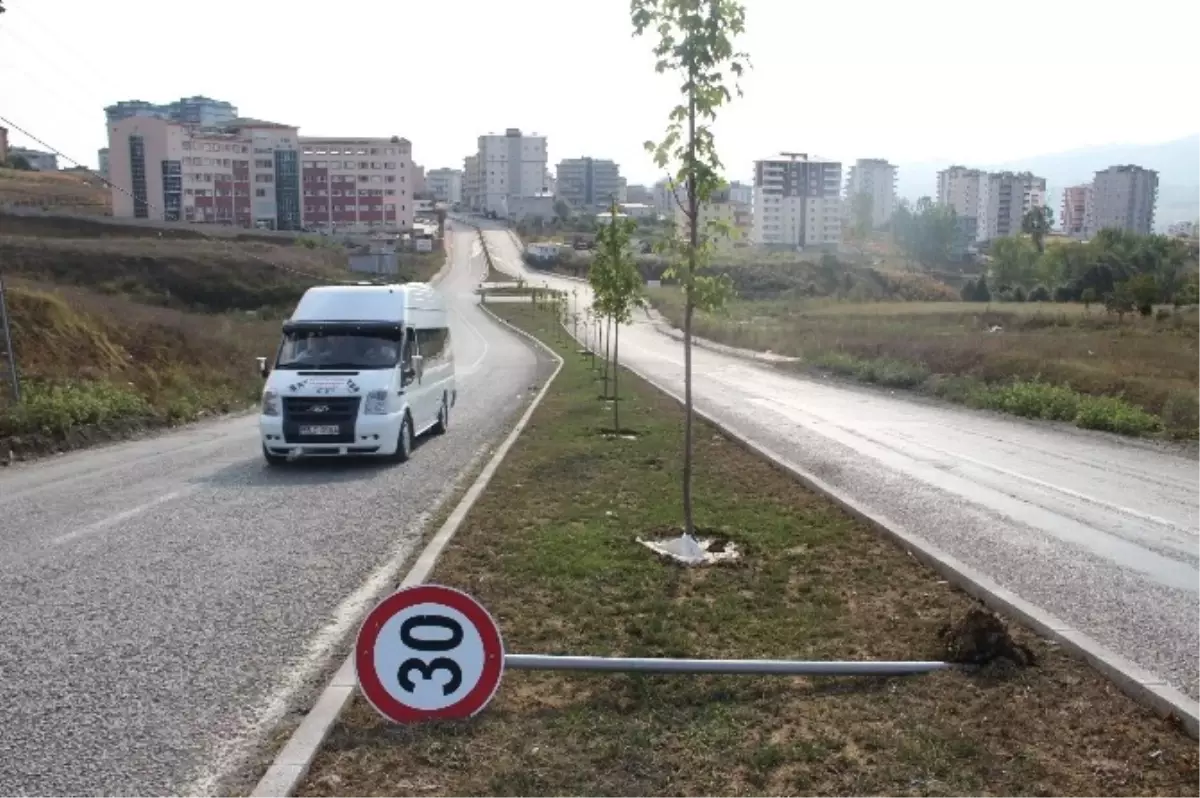 Şehir Magandaları Trafik Levhalarını Yıktı