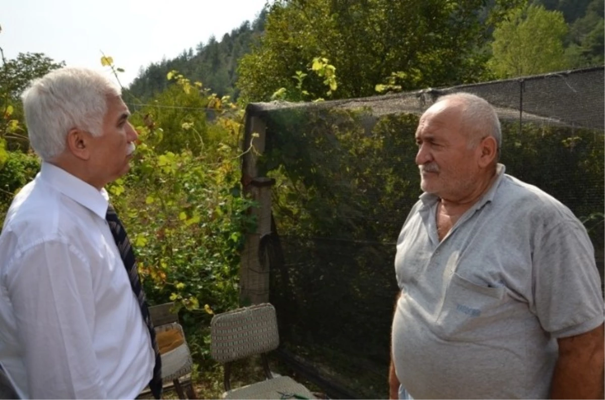 Vali Orhan Alimoğlu Süt Keçisi Çiftliğini Ziyaret Etti