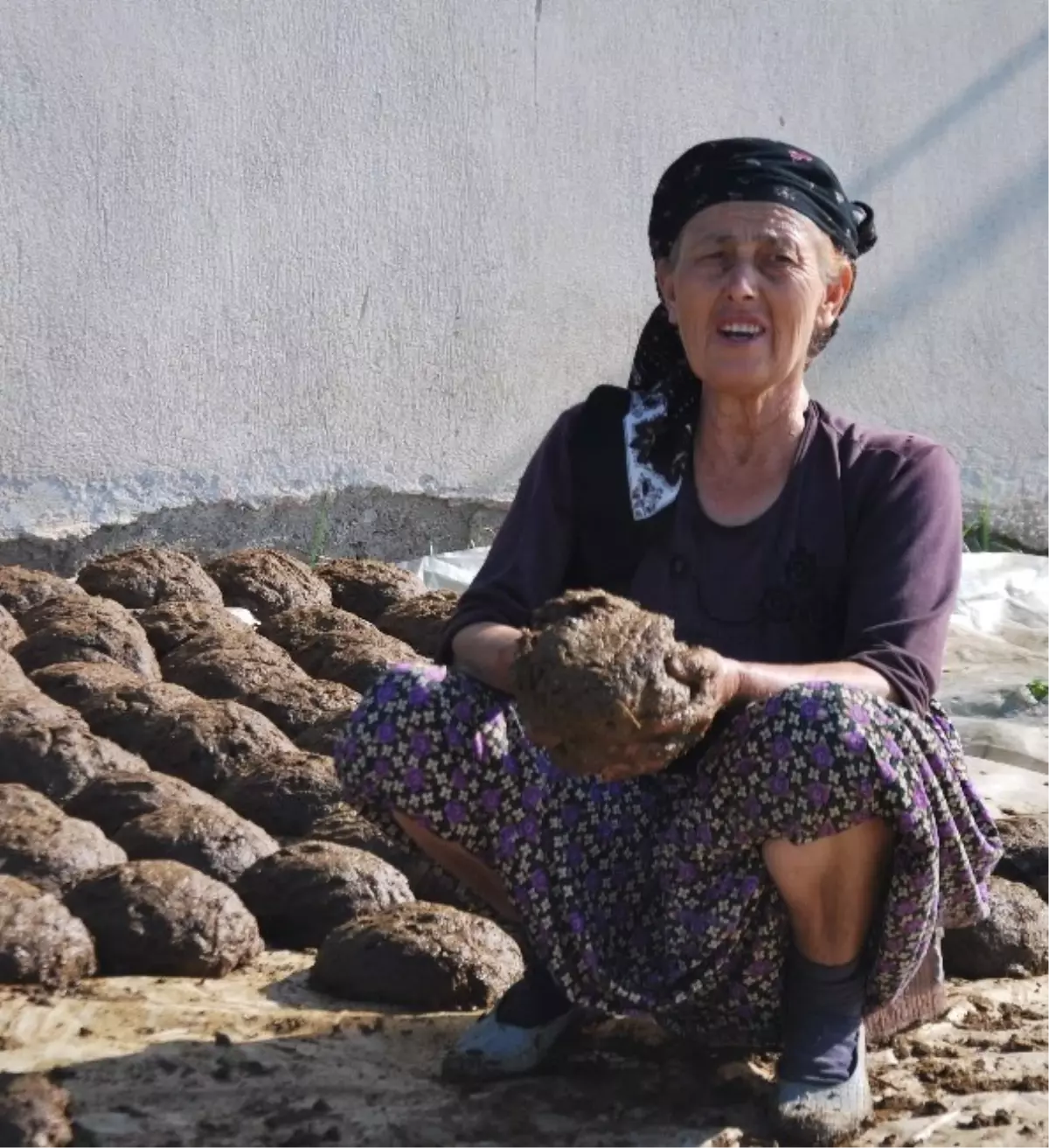 Ayşe Nine Devletten Kömür Bekleyenlere İnat Tezek Hazırlıyor