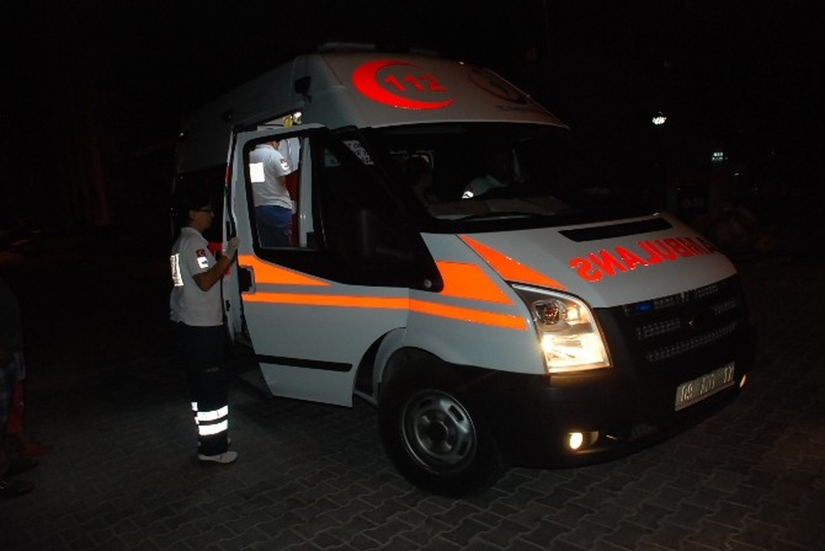 Didim\'de Sokak Köpekleri Genç Kıza Saldırdı