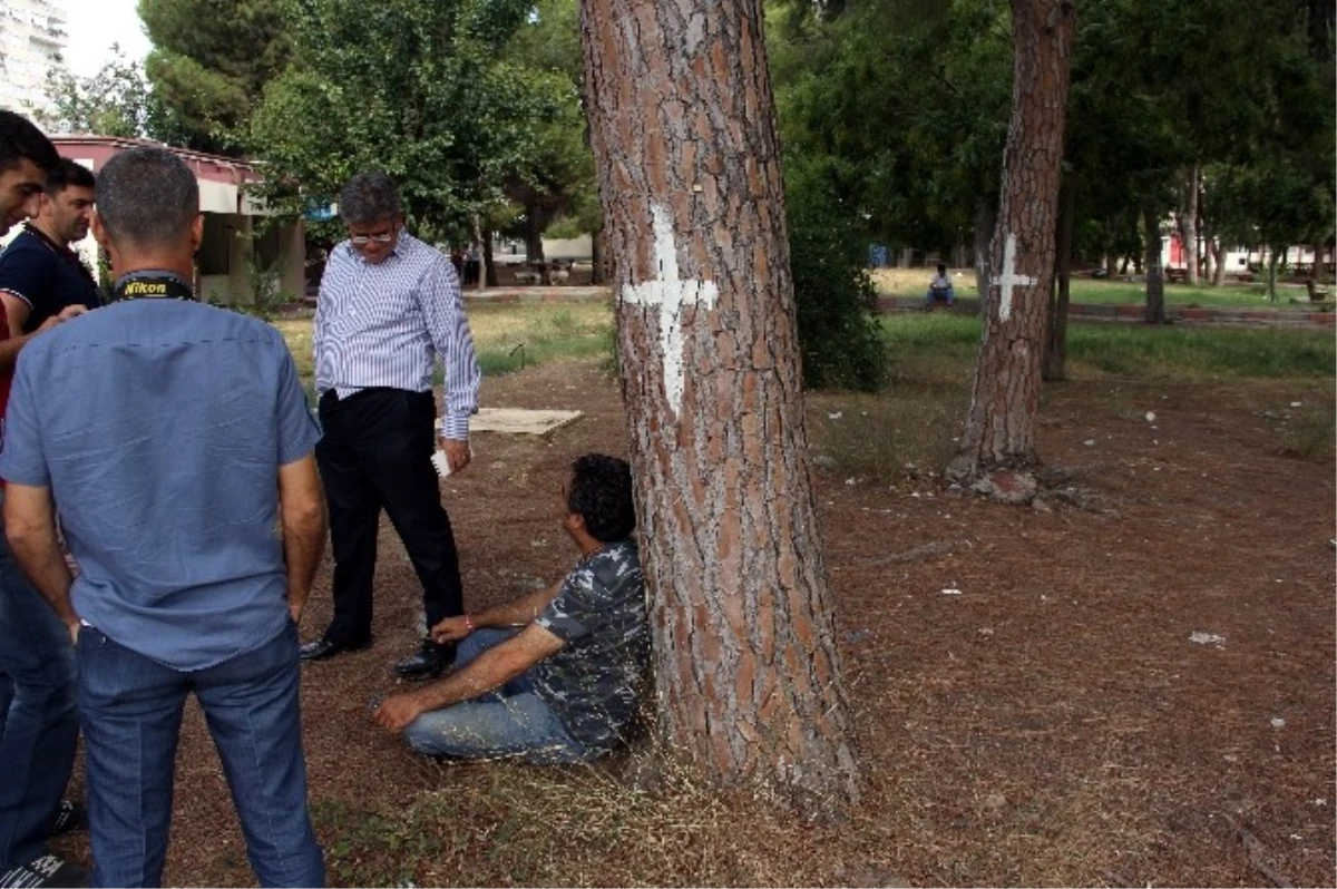 Adana\'da Bir Grup Hastane Bahçesinde Ağaç Nöbeti Tuttu