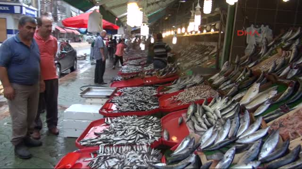 Karadeniz\'de Hamsi Bolluğu