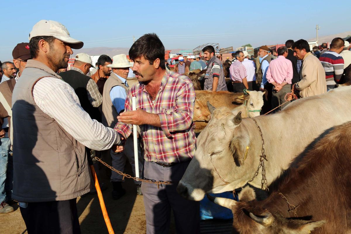 Kurban Bayramına Doğru