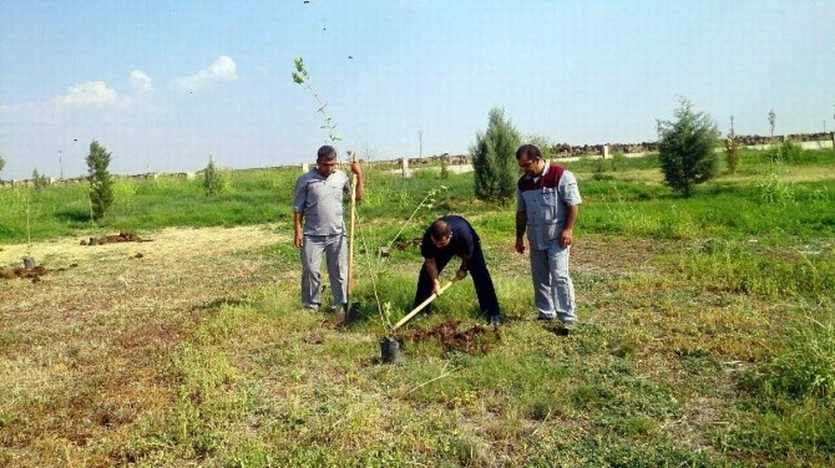 Siverek Devlet Hastanesinde Ağaçlandırma Çalışmaları