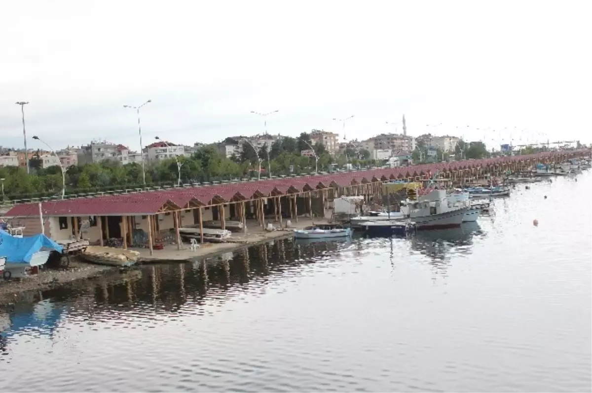 Görele Su Ürünleri Kooperatifi Başkanı Günay, Kıyı Balıkçılarına İsyan Etti