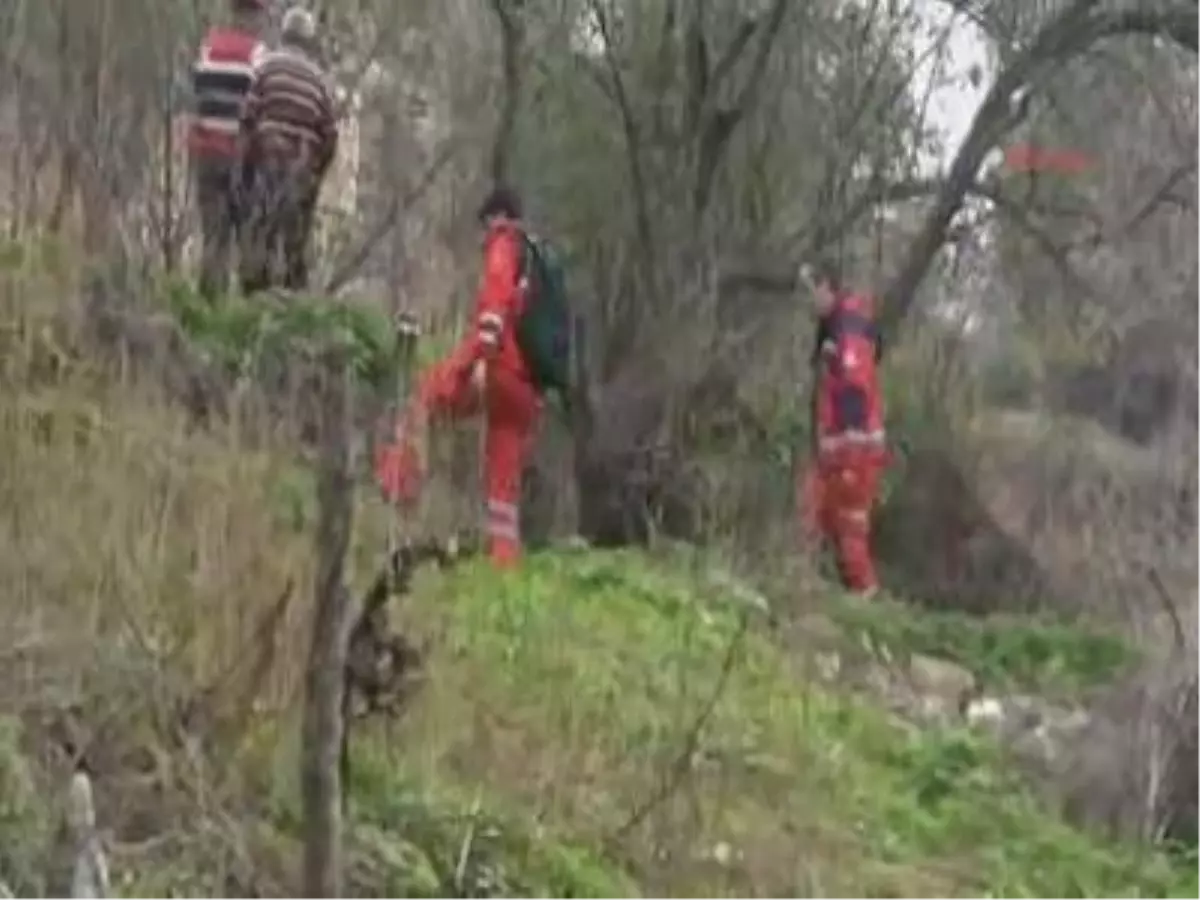 Mantar Toplamaya Çıkan Kadın Kayboldu