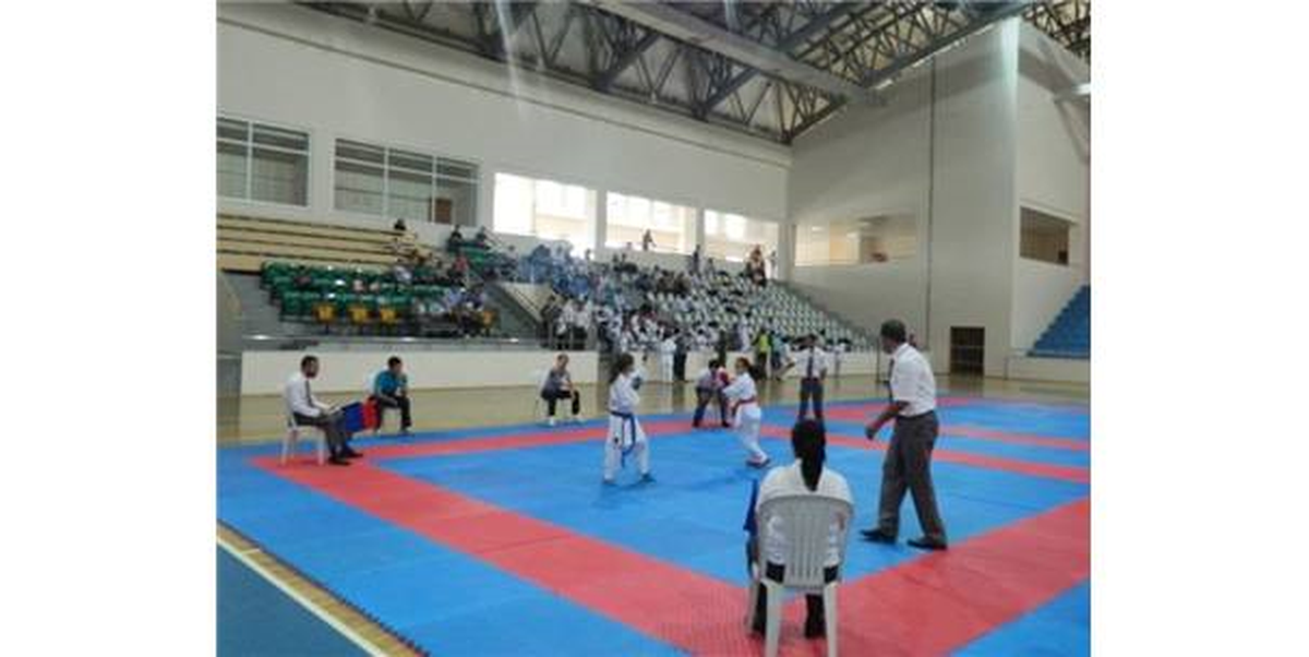 Geleneksel Bingöl Balı Karate Turnuvası"