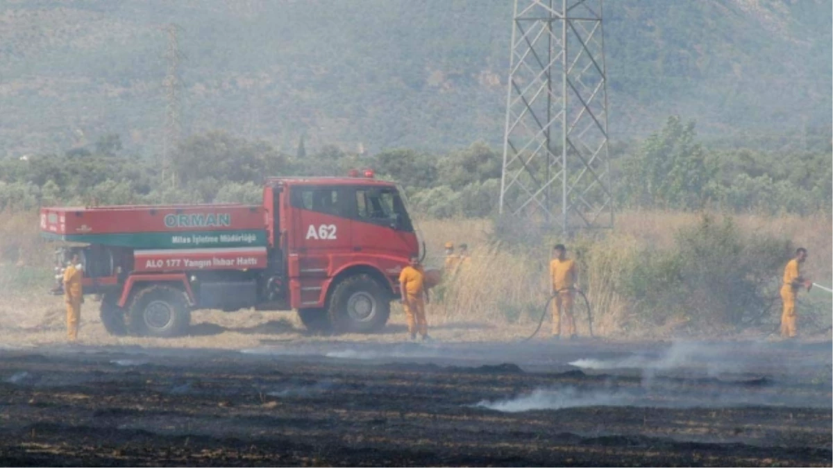 Akseki\'de Tarım Arazisinde Çıkan Yangın Söndürüldü