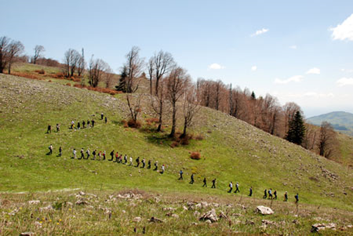 Kartepe\'de Doğa Yürüyüşü