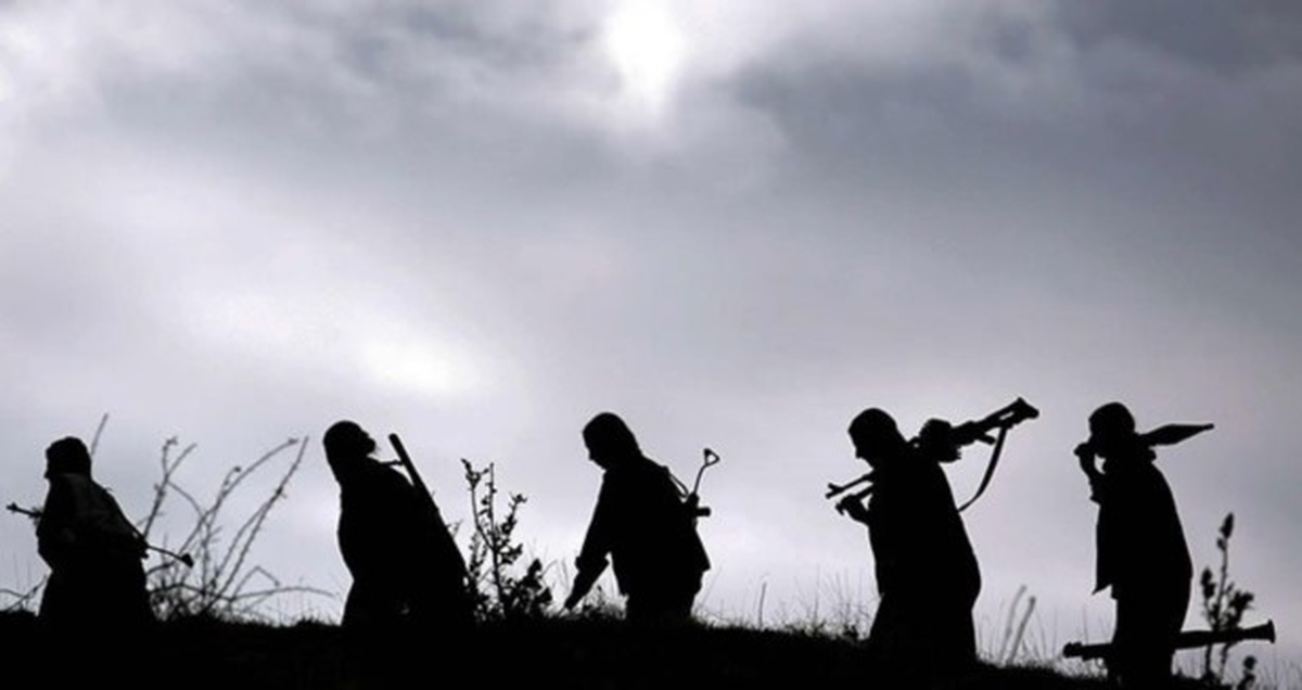 Muş\'taki 10 Çocuğun PKK Tarafından Kaçırıldığı İddiası