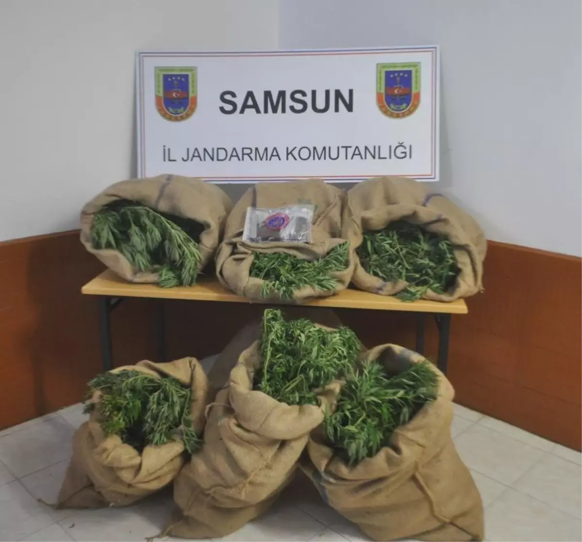 Samsun'da Uyuşturucu Operasyonu