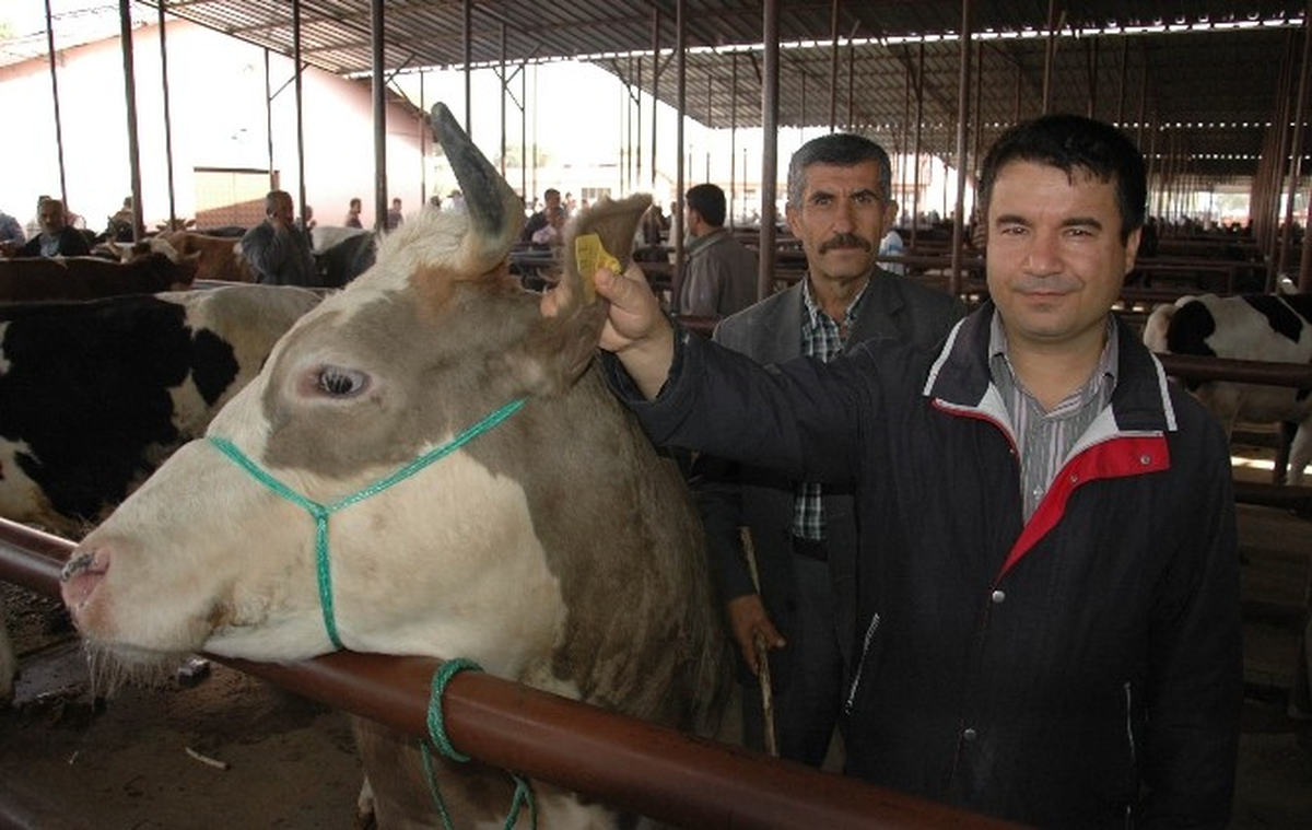 Veteriner Hekimden \'Kurbanlık\' Uyarısı