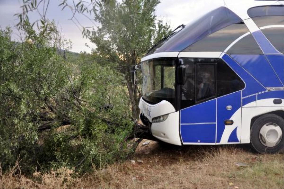 Keçiborlu\'da Yolcu Otobüsü ile Süt Tankeri Çarpıştı: 5 Yaralı
