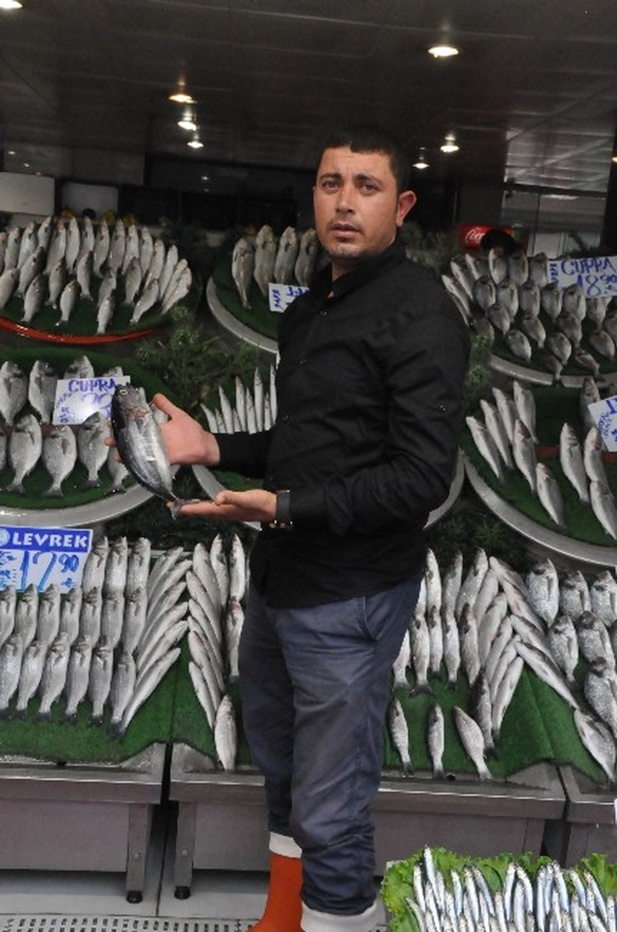 Balığın Bolluğu Vatandaşın Yüzünü Güldürdü