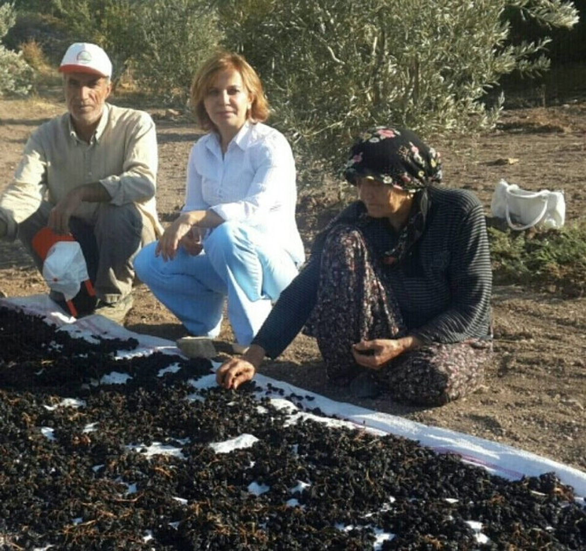 Horoz Karası Üzümler Kurutuluyor