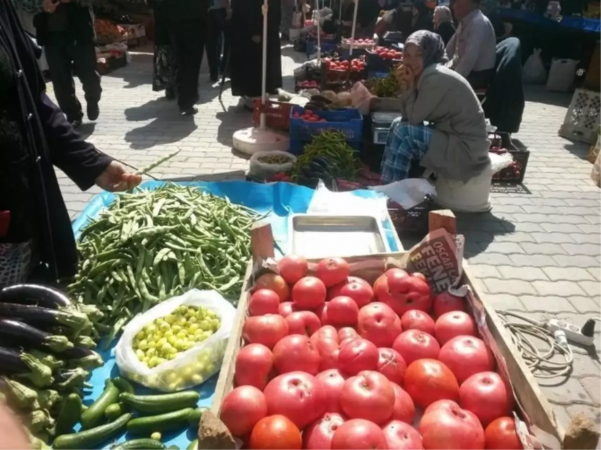 Orhaneli\'nde Osmanlı Domatesine Büyük İlgi