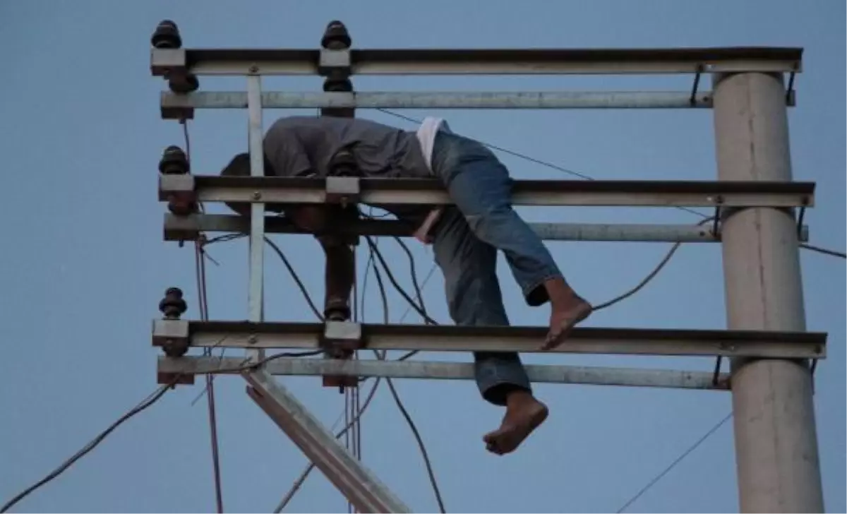 Elektrik Çekmek İstedi, Akıma Kapılıp Direkte Asılı Kaldı